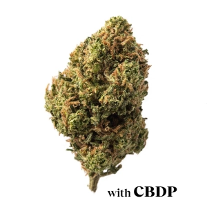 Flor aromatica con CBDP