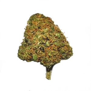 BUBBLEGUM Indoor | CBD<22%