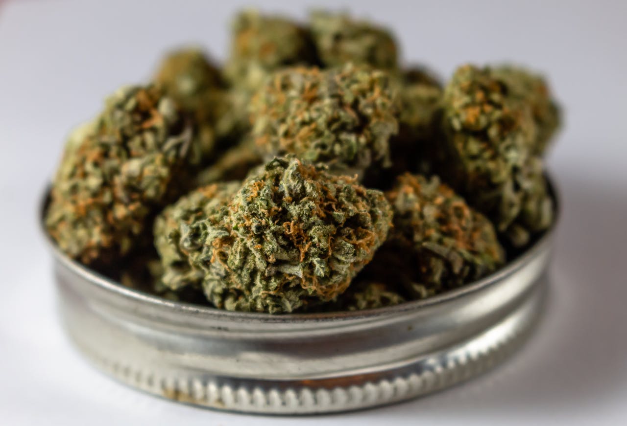 Macro shot of cannabis flowers on a metal lid showcasing texture and details.