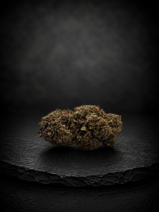 Blueberry CBD