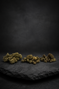 Mini Buds Omega